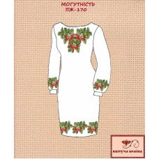 Blank embroidered dress Kvitucha Krayna PZH-170 Power