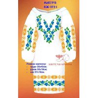 Blank embroidered dress Kvitucha Krayna PZH-272-1 Allergy