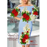 Blank embroidered dress Kvitucha Krayna PZH-341 Ideal
