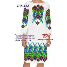 Blank embroidered dress Kvitucha Krayna PZH-442 _