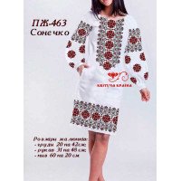 Blank embroidered dress Kvitucha Krayna PZH-463 Sun