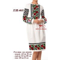 Blank embroidered dress Kvitucha Krayna PZH-468 _