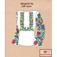 Blank embroidered shirt for women  SZH-004 Wisdom