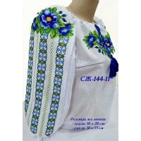 Blank embroidered shirt for women  SZH-144-11 _