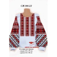 Blank embroidered shirt for women  SZH-144-22 _