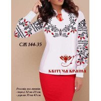 Blank embroidered shirt for women  SZH-144-35 _