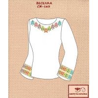Blank embroidered shirt for women  SZH-163 Rainbow