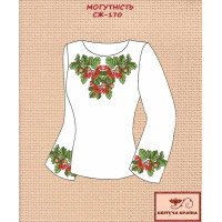 Blank embroidered shirt for women  SZH-170 Power