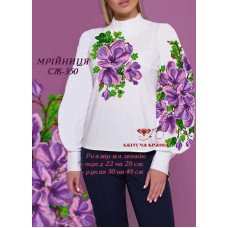 Blank embroidered shirt for women  SZH-350 Dreamer