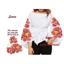 Blank embroidered shirt for women  SZH-374 Dana