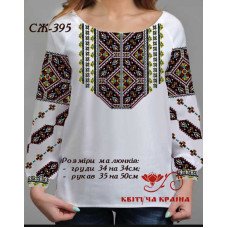 Blank embroidered shirt for women  SZH-395 _