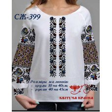 Blank embroidered shirt for women  SZH-399 _