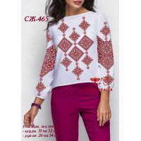 Blank embroidered shirt for women  SZH-465 _