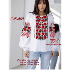 Blank embroidered shirt for women  SZH-469 _