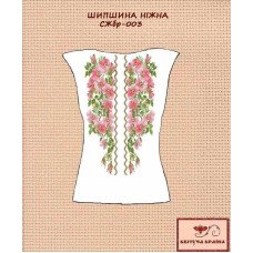 Заготовка вишиванки жіночої без рукавів СЖбр-003 Шипшина ніжна