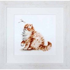Cross Stitch Kits Luca-S B2270 Cat with a dragonfly