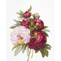 Cross Stitch Kits Luca-S B2354 Bouquet with peonies