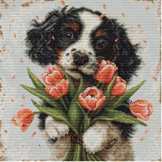 Cross Stitch Kits Luca-S BU5067 Cocker spaniel puppy