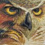 Thread embroidery kit Nova Sloboda HB5509 Owl