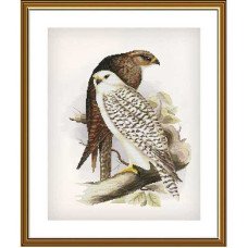 Набір для вишивки нитками на канві з фоновим зображенням Нова Слобода СР2273 Горді птахи