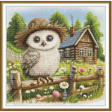 Thread embroidery kit Nova Sloboda CP2385 A country boy