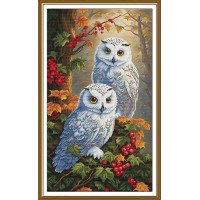 Thread embroidery kit Nova Sloboda CP6262 Forest ladies
