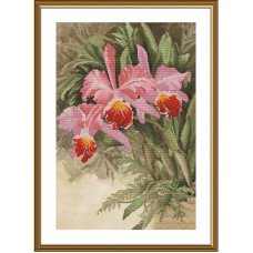 Набір для вишивки нитками на канві з фоновим зображенням Нова Слобода СВ2239 Тропічна орхідея