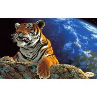 Beading patterns Tela Artis TA-079 Amur tiger Save the planet