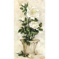 Схема для вышивки бисером Тэла Артис ТК-026 Белые розы