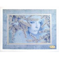 Bead embroidery kit Tela Artis NG-074 The Snow Queen