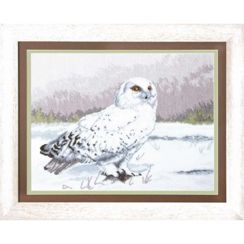 Cross stitch kit Momentos Magicos M-80 The wise owl Buklya