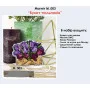 Cross stitch kit on plastic canvas Kolorova M-003 Magnet Bouquet of tulips