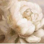 Cross Stitch Kits LetiStitch L8083 Peony Poses