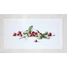 Cross Stitch Kits Luca-S B2254 Sketch with strawberries