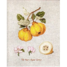 Cross Stitch Kits Luca-S BL22430 Quince