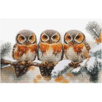 Cross Stitch Kits Luca-S BU5077 Owls in the Silence of Winter