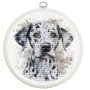 Cross Stitch Kits Luca-S BC208 Dalmatian