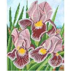 Pattern beading Marichka RKP-235 Irises