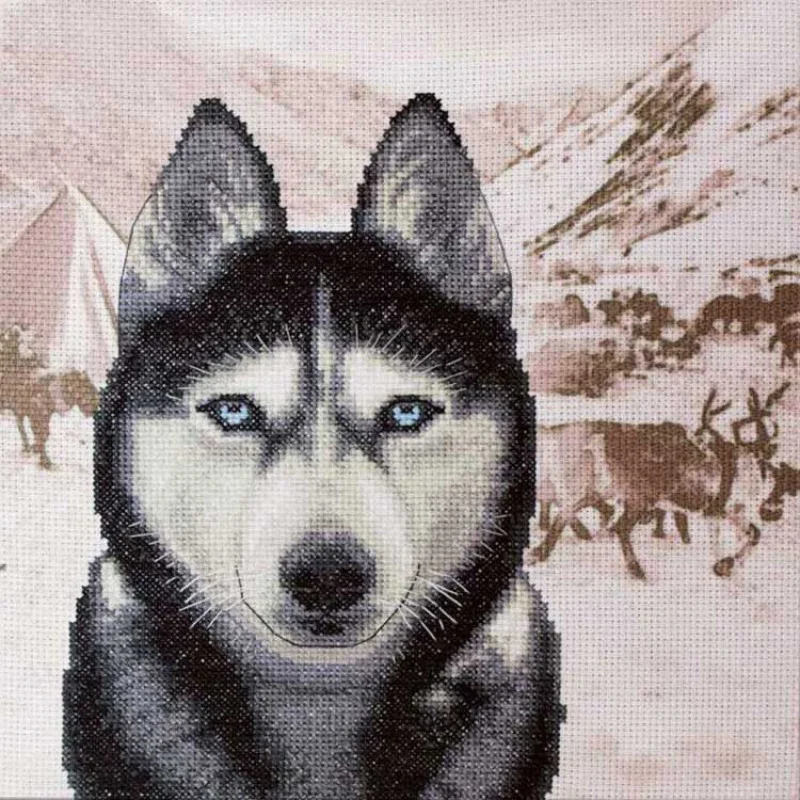 Embroidery kit on canvas with a background image Nova Sloboda KO4019 Haski (out of production)