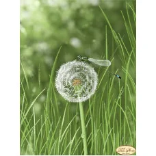 Beading patterns Tela Artis TA-303 Dandelion and dragonfly