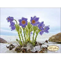 Beading patterns Tela Artis TM-035 First flowers