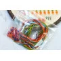 Cross Stitch Kits Tela Artis X-203 Ode to the city