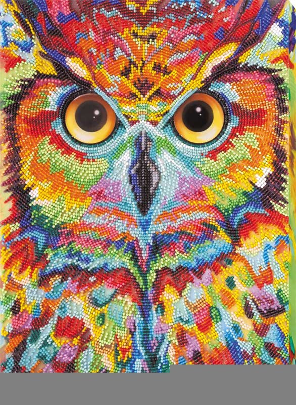 Foto Main Bead Embroidery Kit on Canvas  Abris Art AB-734 Ammolite