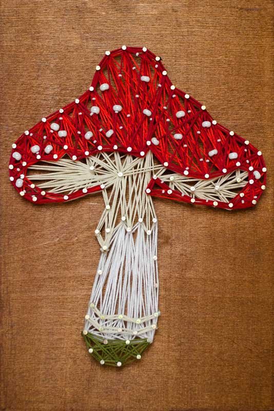 Photo String Art Pictures Abris Art ABC-031 Fly agaric
