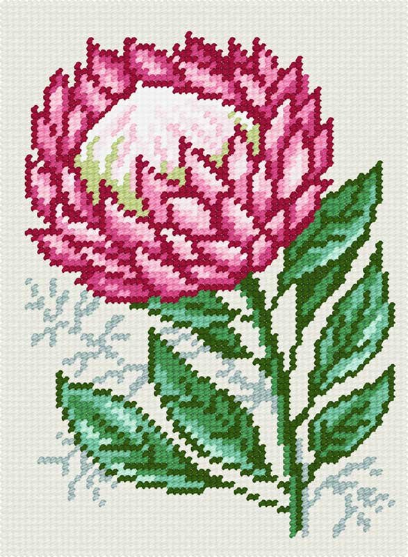 Фото Набір для вишивання пряжею по канві з рисунком Quick Tapestry TD-47 Протея 