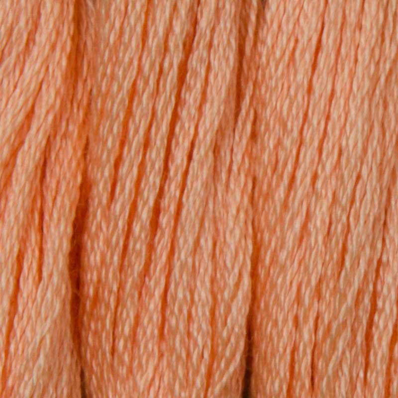 Фото Нитки для вышивания хлопковые DMC 3824 Светлый абрикос