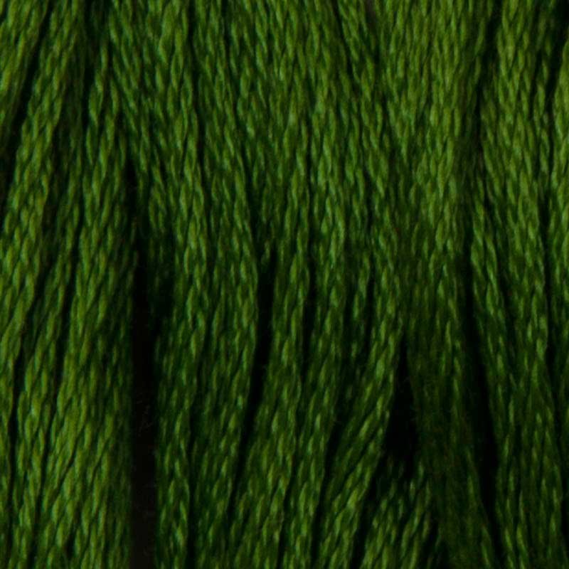 Photo Cotton thread for embroidery DMC 904 Very Dark Parrot Green