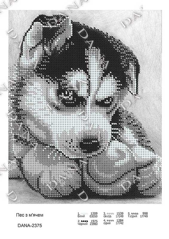 Фото Схема для вишивання бісером ДАНА-2375 Собака з м'ячем