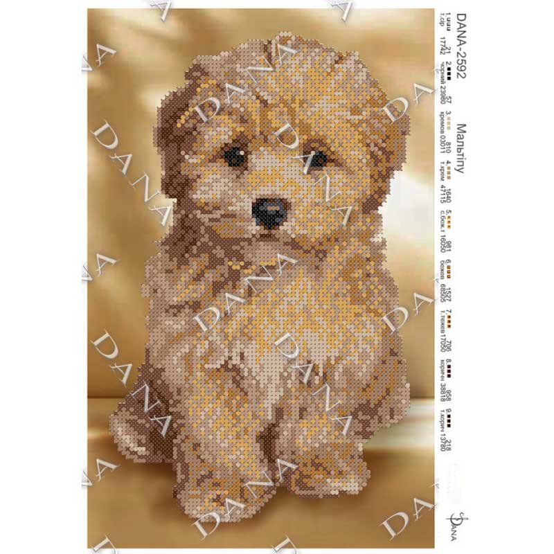 Photo Pattern beading DANA-2592 Maltipoo