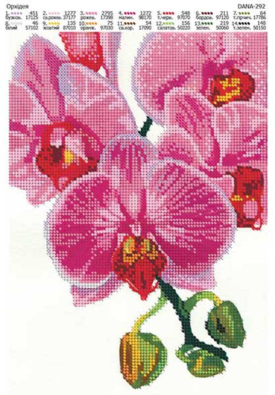 Фото Cхема для вышивки бисером  ДАНА-292 Орхидея